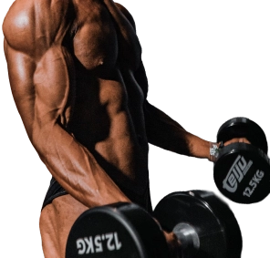 banner-master-hipertrofia-culturismo