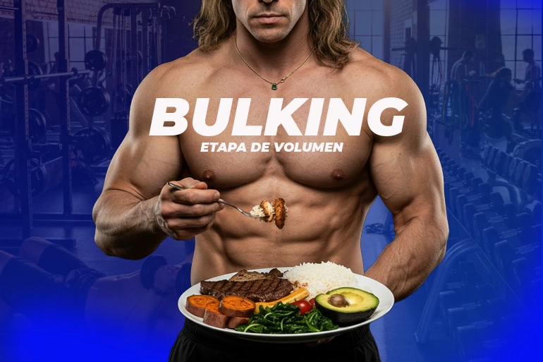 Bulking etapa de volumen