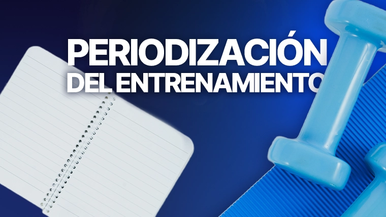 Periodización del entrenamiento e hipertrofia