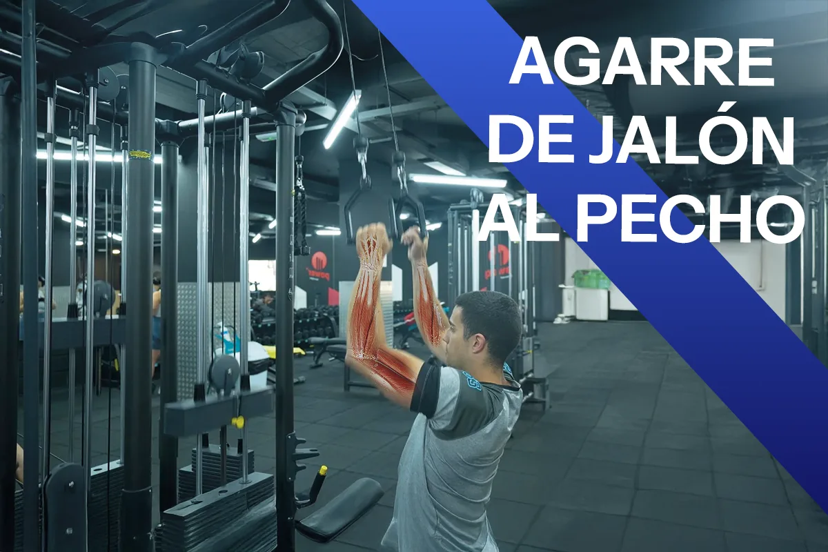 Agarre de jalón al pecho: cómo elegir mejor para tus objetivos