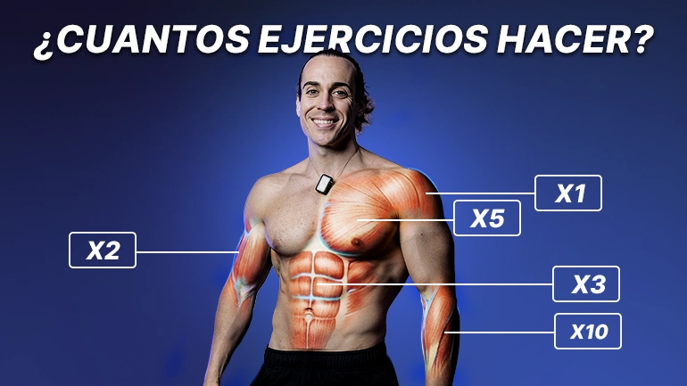 cuantos ejercicios hacer por grupo muscular hipertrofia