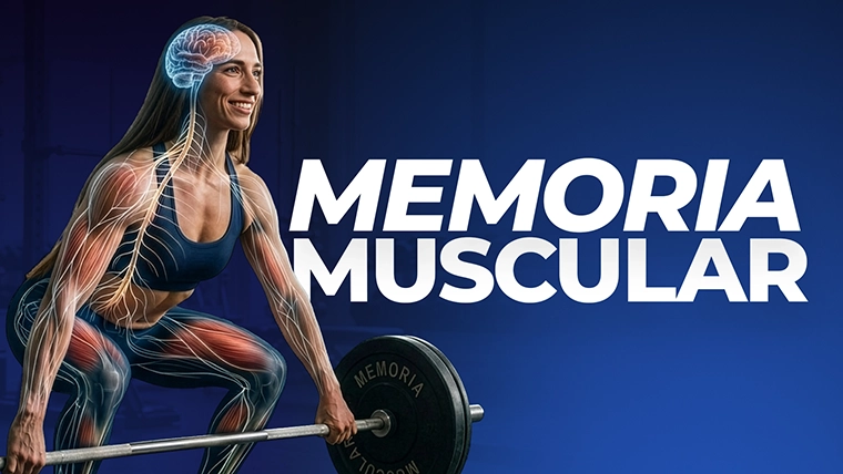 que es memoria muscular