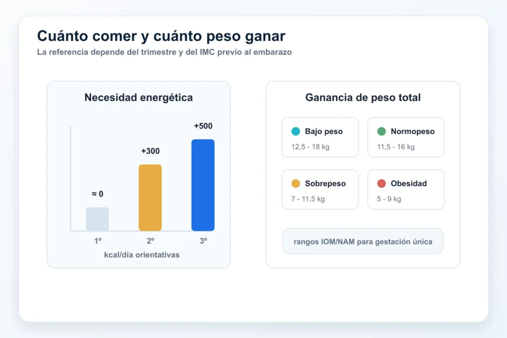 Calorias y ganancia de peso en el embarazo