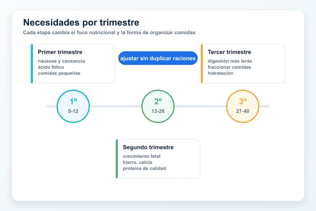 Necesidades nutricionales por trimestre embarazo