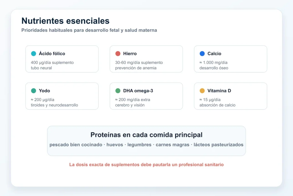 Nutrientes esenciales embarazo