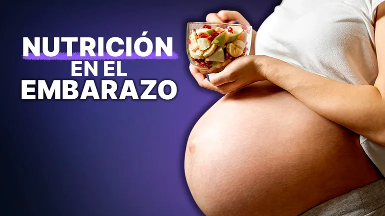 nutrición durante el embarazo guía alimentación saludable