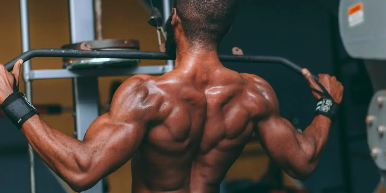 Resultados: ¿Qué Formas de Entrenamiento Funcionan?