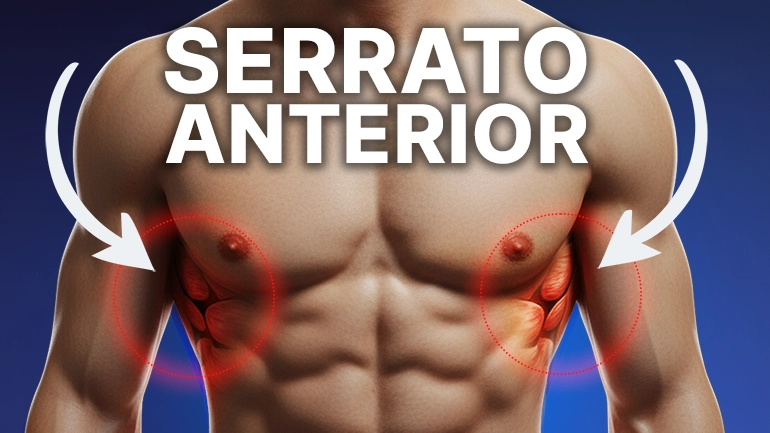 Serrato anterior: los mejores ejercicios para trabajarlo bien