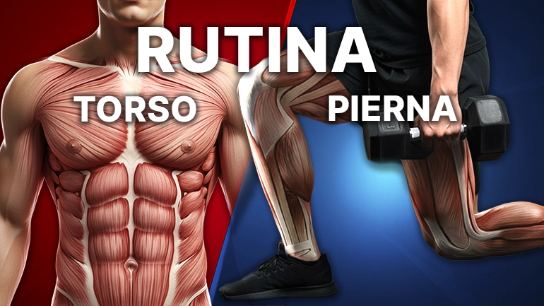 Rutina torso pierna: planificación completa paso a paso
