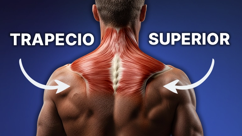 Top ejercicios para trapecio superior fuerte y definido