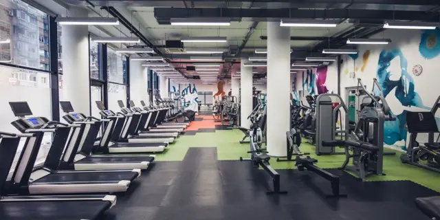 Entrenamiento de movilidad articular