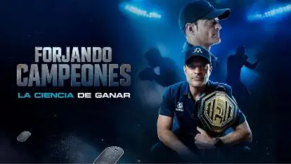 Curso de MMA y Deportes de Combate