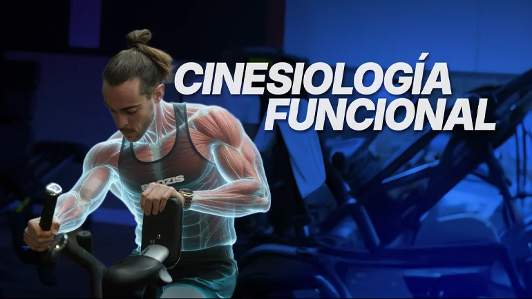 cinesiología qué es movimiento humano