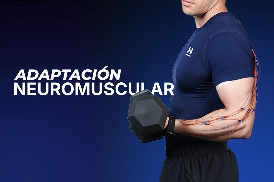 Adaptación neuromuscular