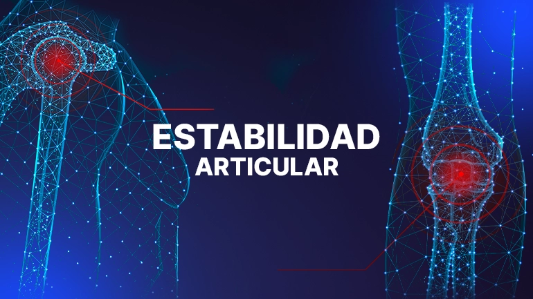 Estabilidad articular y fuerza real