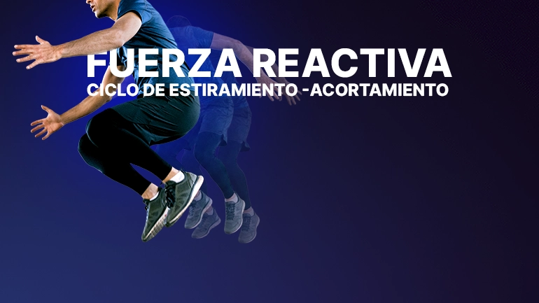 Fuerza reactiva