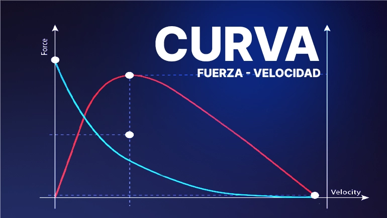 curva fuerza velocidad