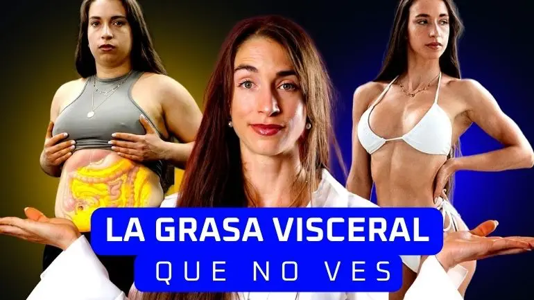 grasa visceral