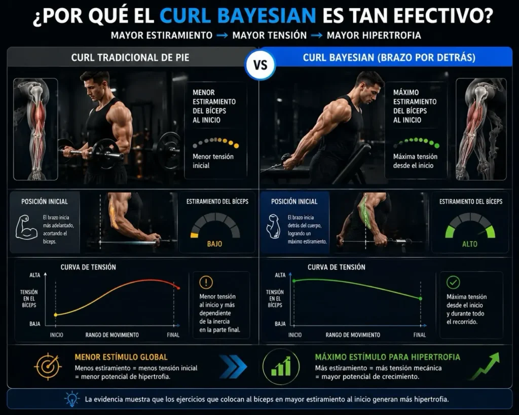 curl bayesian