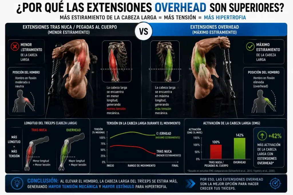 extensiones tríceps overhead