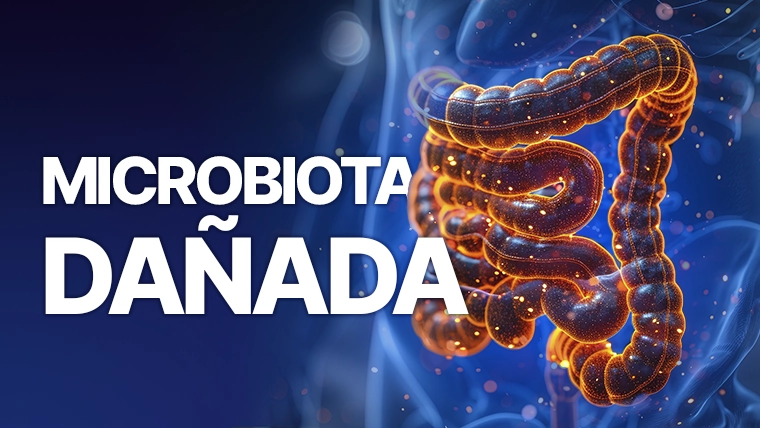 microbiota dañada