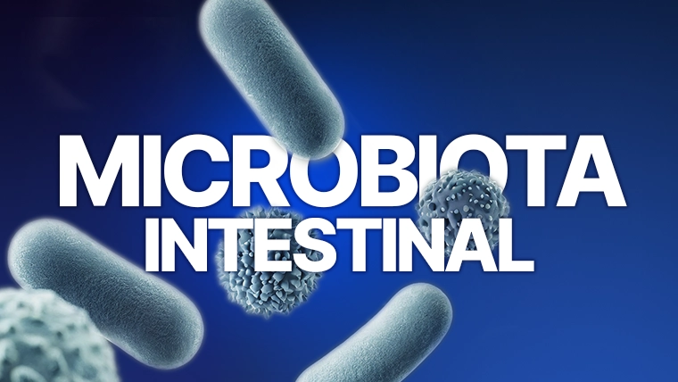 microbiota intestinal