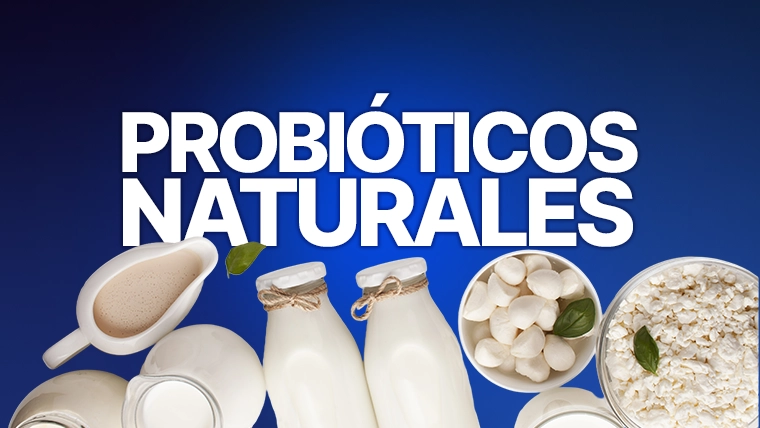 probióticos naturales