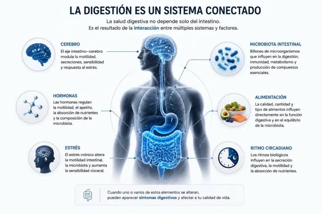 problemas digestivos