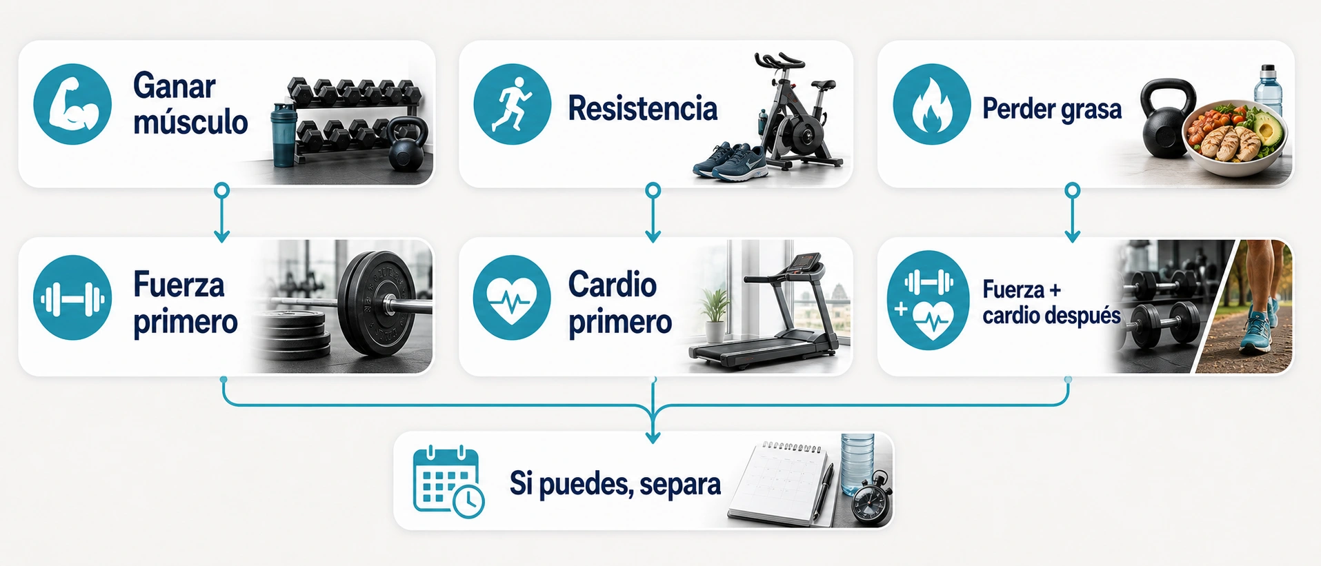 Decision rapida para hacer cardio antes o despues de fuerza segun objetivo ganar musculo resistencia o perder grasa