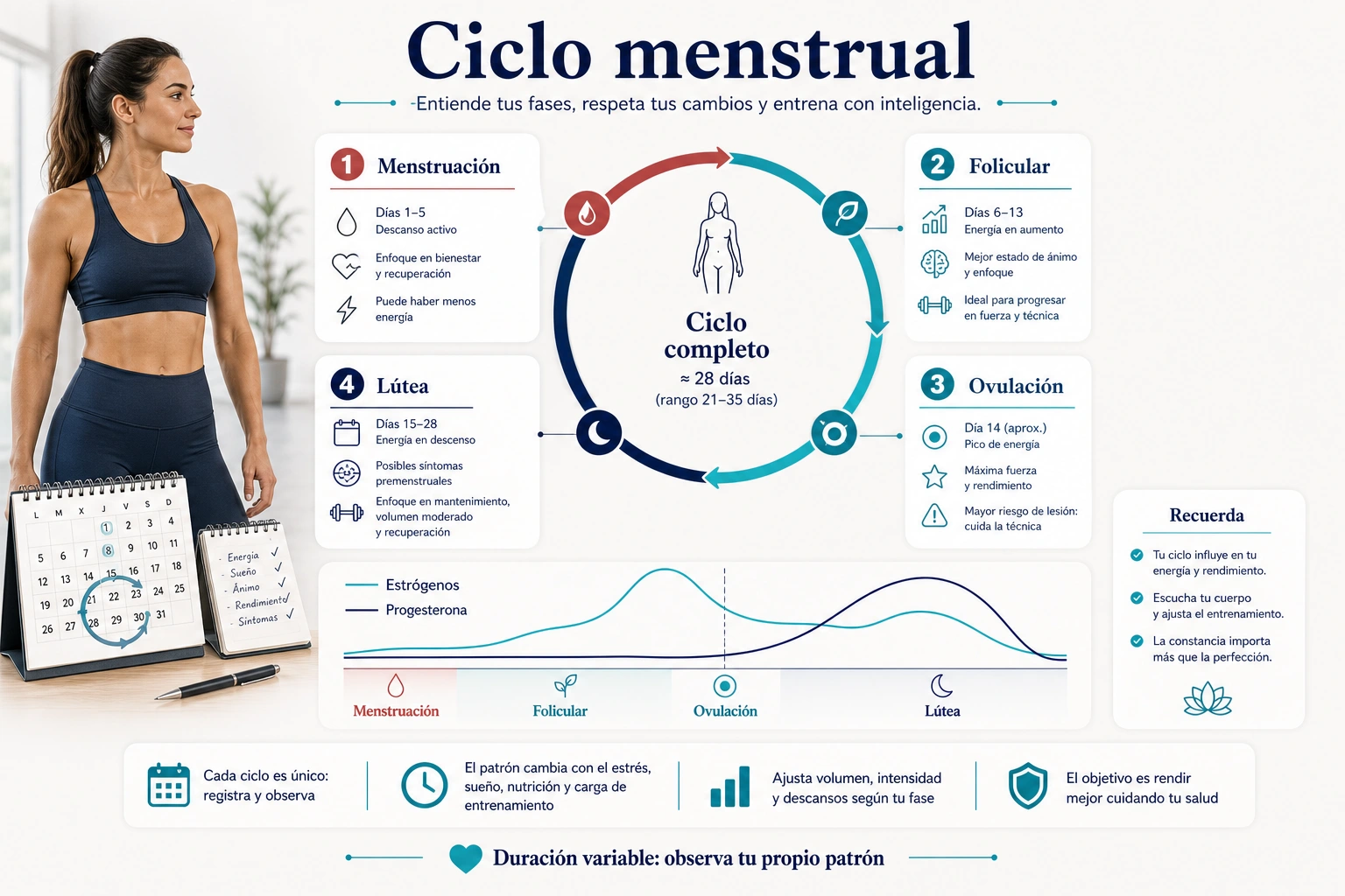 Ciclo menstrual con menstruacion fase folicular ovulacion fase lutea estrogenos y progesterona