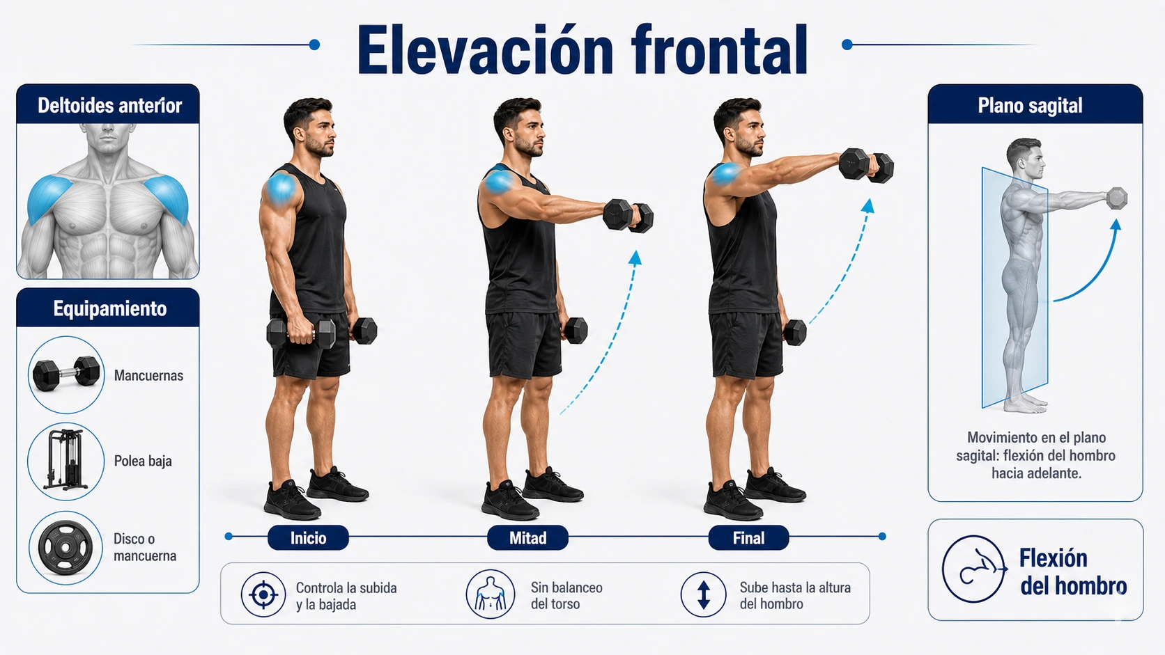 Infografía de biomecánica de elevaciones frontales con deltoides anterior