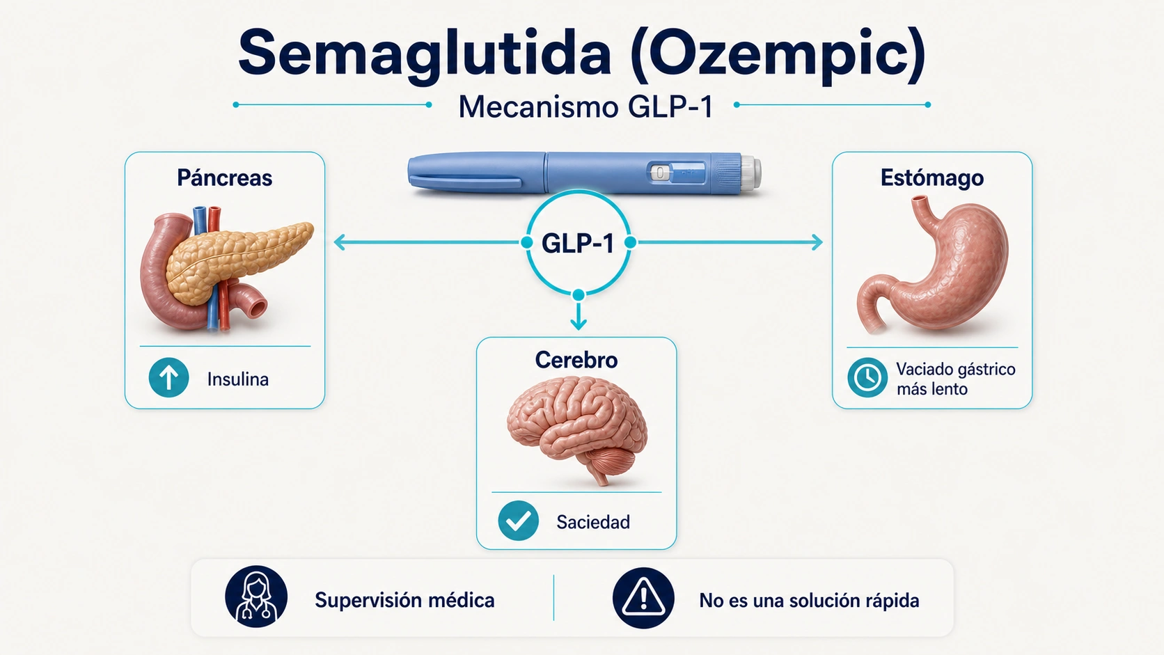 Ozempic semaglutida y mecanismo GLP uno con pancreas insulina cerebro saciedad estomago vaciado gastrico y supervision medica