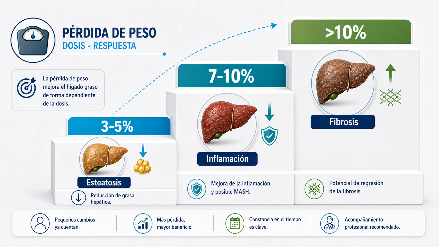 Escala de pérdida de peso en hígado graso con umbrales 3-5 7-10 y más de 10 por ciento