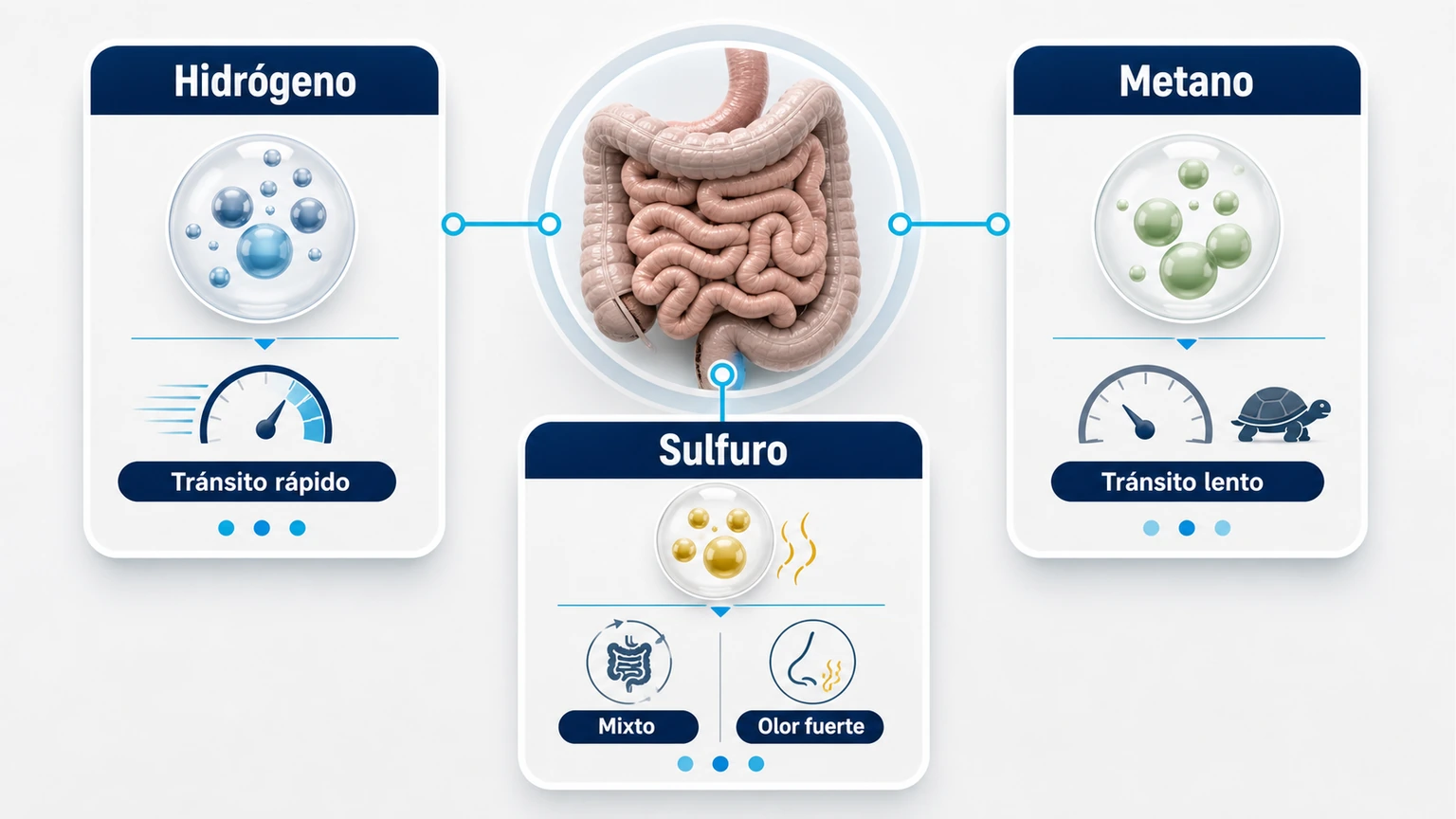 Comparativa de tipos de SIBO por gases hidrógeno metano y sulfuro