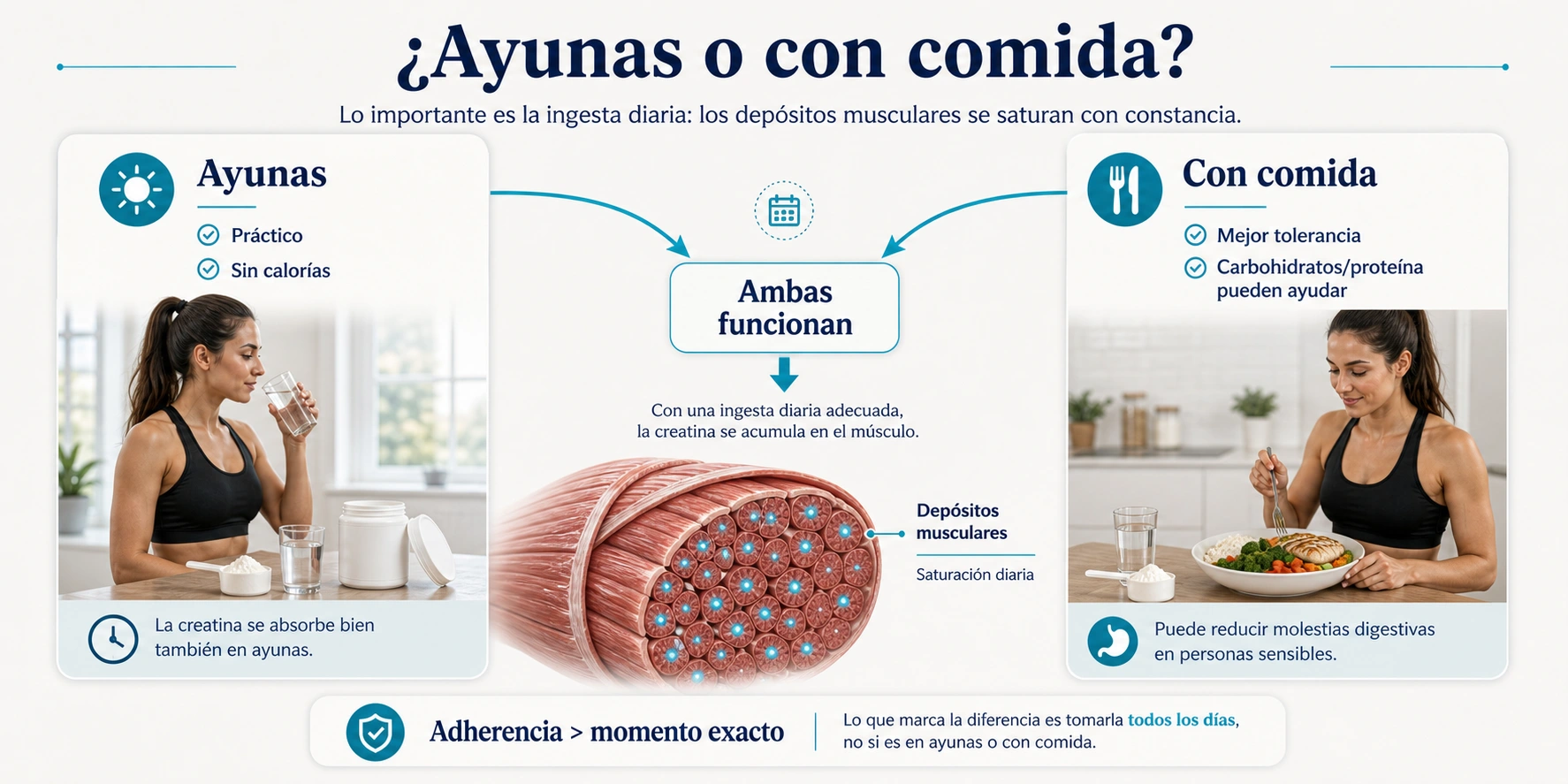 Creatina en ayunas o con comida comparando adherencia absorcion y saturacion diaria de depositos musculares