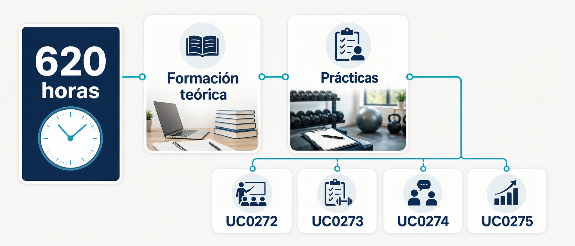 Estructura del certificado AFDA0210 con 620 horas formacion teorica practicas y unidades de competencia UC0272 UC0273 UC0274 y UC0275