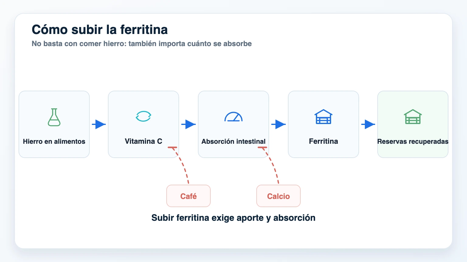 Infografía de flujo para subir la ferritina combinando alimentos con hierro vitamina C absorción y evitando inhibidores