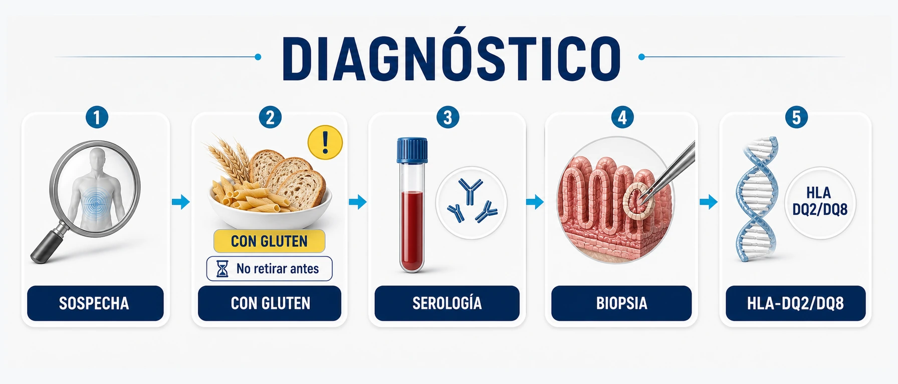Flujo diagnóstico de celiaquía con gluten en dieta serología biopsia duodenal y HLA DQ2 DQ8