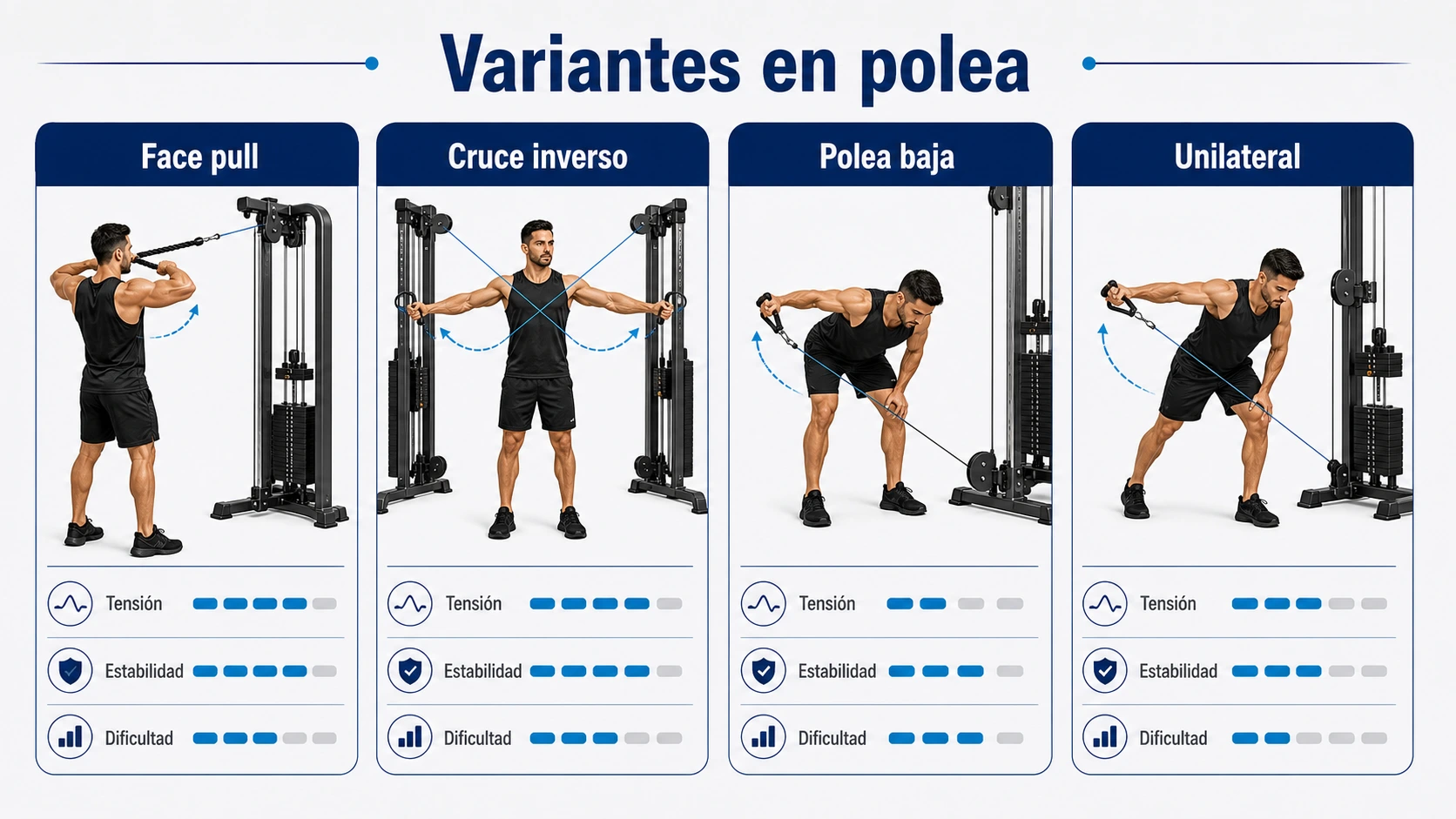 Infografía de variantes en polea para deltoides posterior