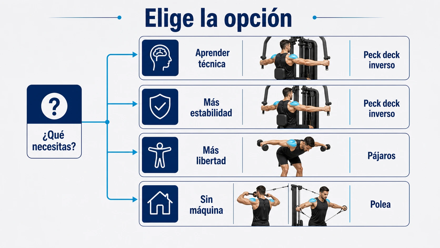 Árbol de decisión para elegir peck deck inverso pájaros o polea
