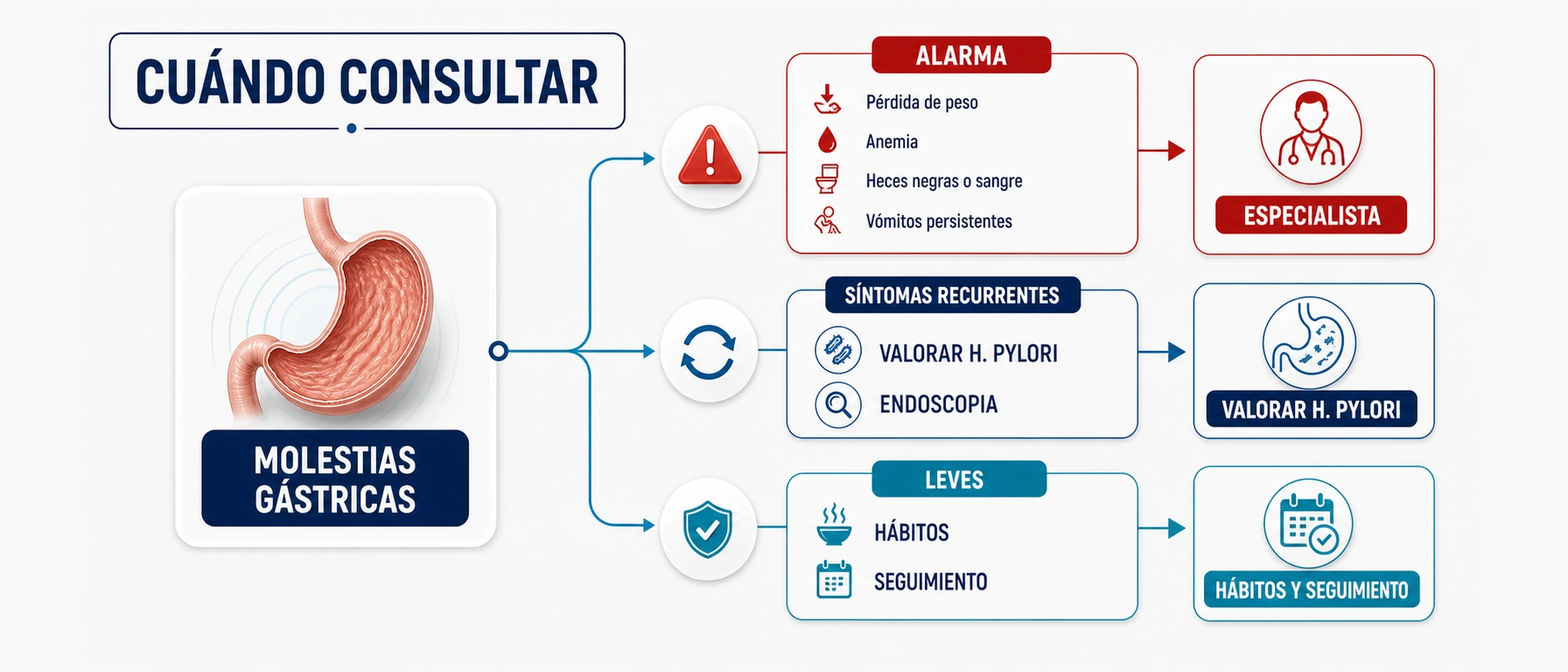 Árbol de decisión sobre cuándo consultar por gastritis según alarma síntomas recurrentes o molestias leves