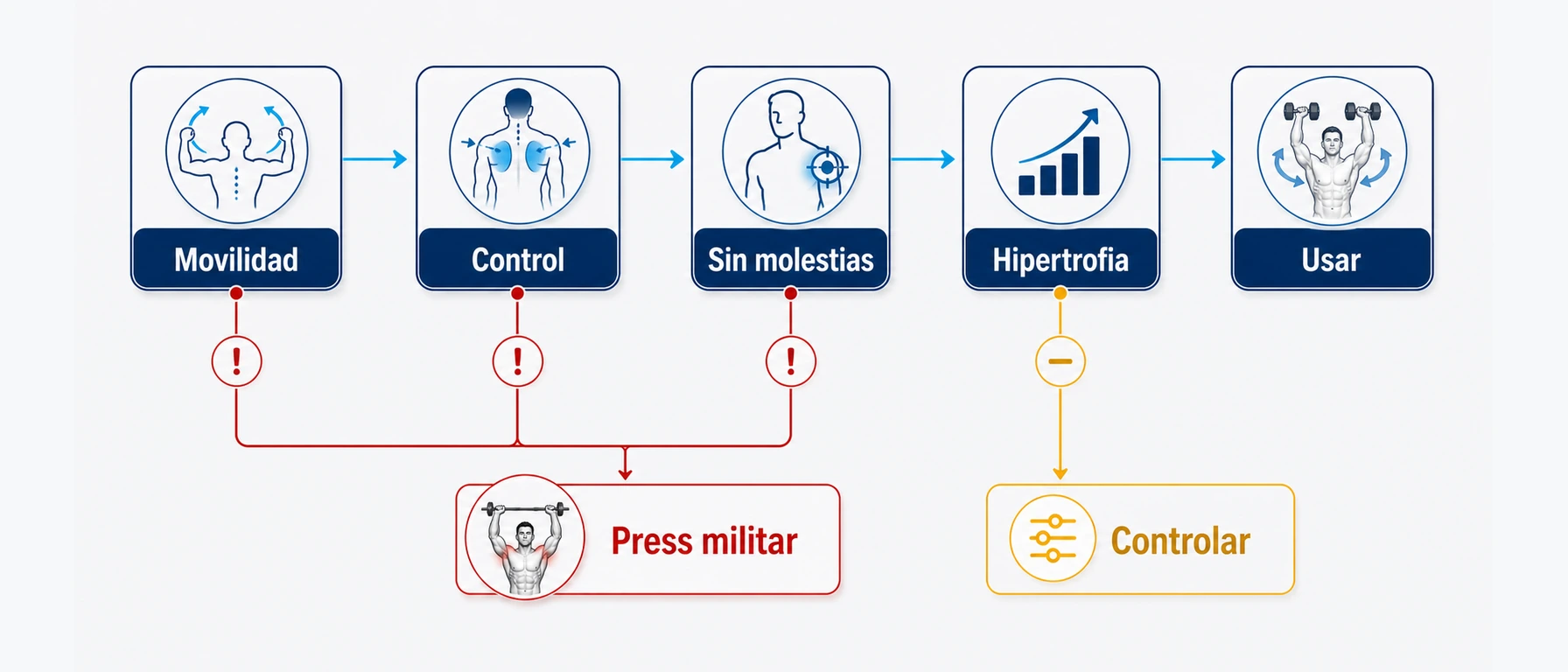 Árbol de decisión para usar controlar o sustituir el press Arnold por press militar