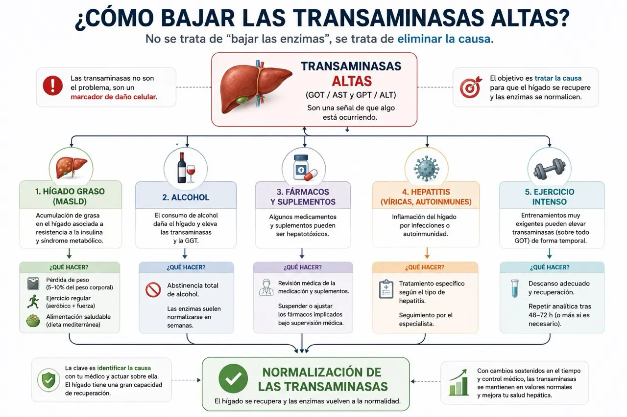 Diagrama de flujo sobre cómo bajar transaminasas tratando la causa