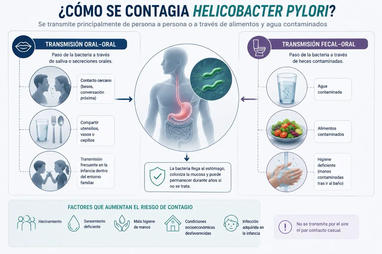 Mapa conceptual de transmision de Helicobacter pylori con vias oral oral y fecal oral, agua contaminada, alimentos contaminados, utensilios compartidos e higiene deficiente