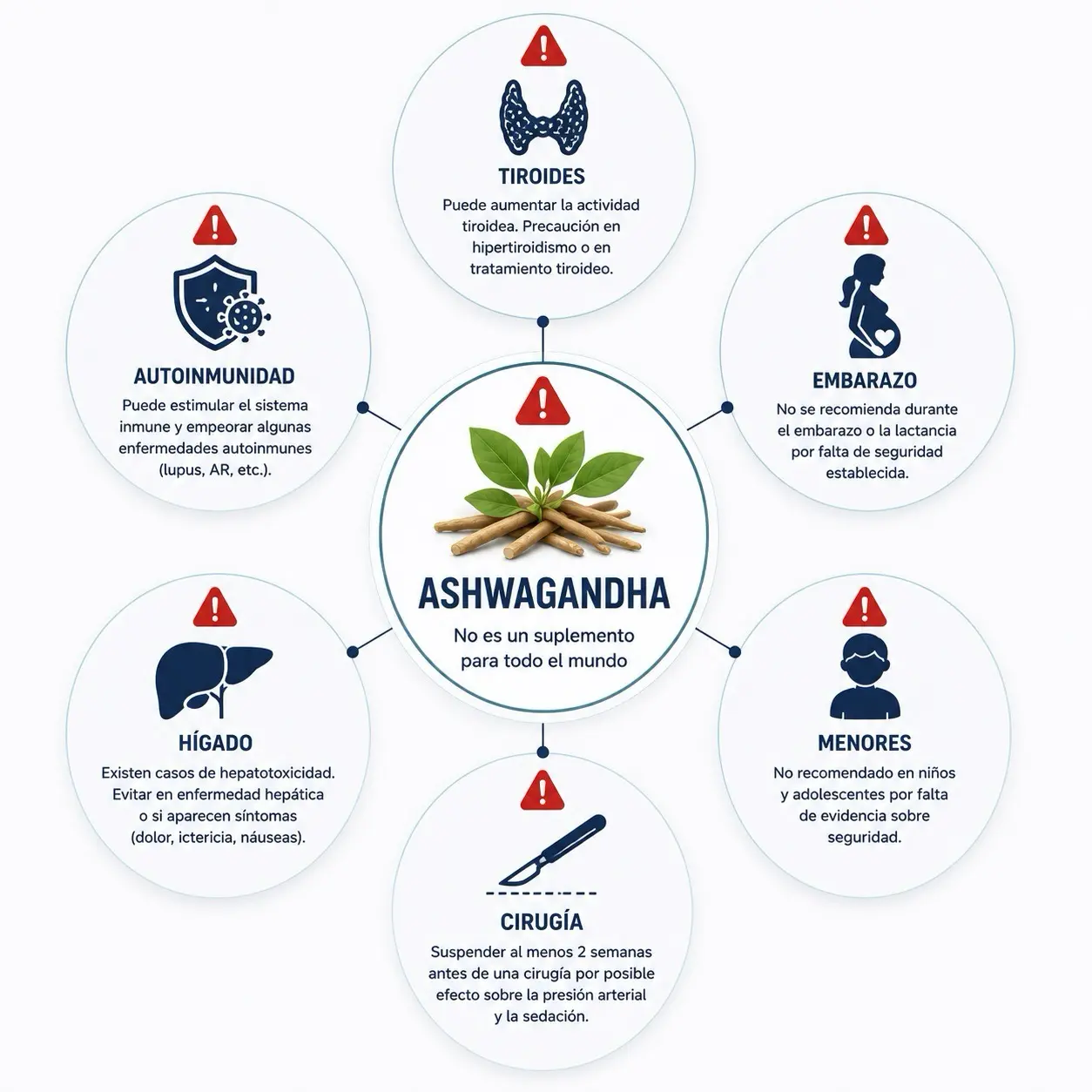Infografia de advertencias de ashwagandha con tiroides, embarazo, autoinmunidad, higado, cirugia y menores