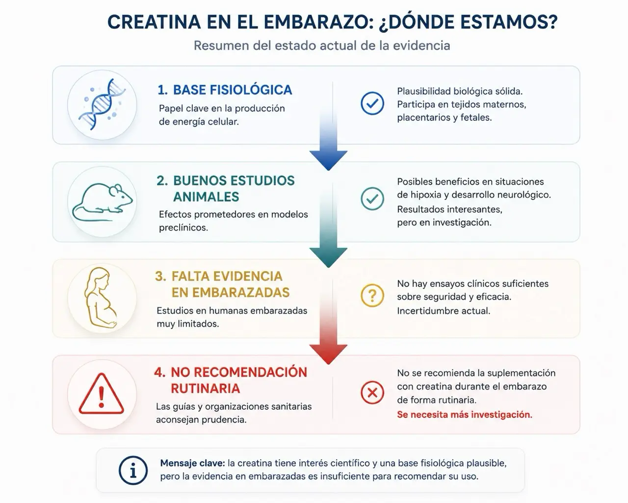 Escala de evidencia sobre creatina en embarazo con base fisiologica, estudios animales, falta de evidencia en embarazadas y no recomendacion rutinaria