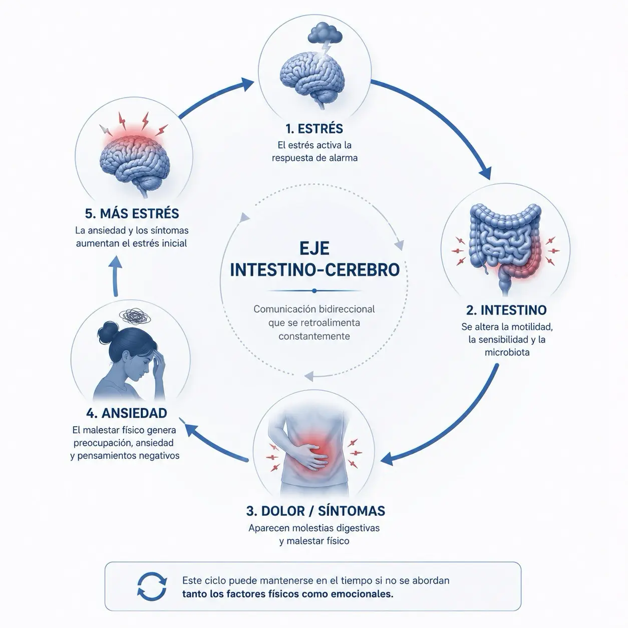 Diagrama circular de trastornos de la interaccion intestino-cerebro con estres, intestino, dolor, ansiedad y mas estres