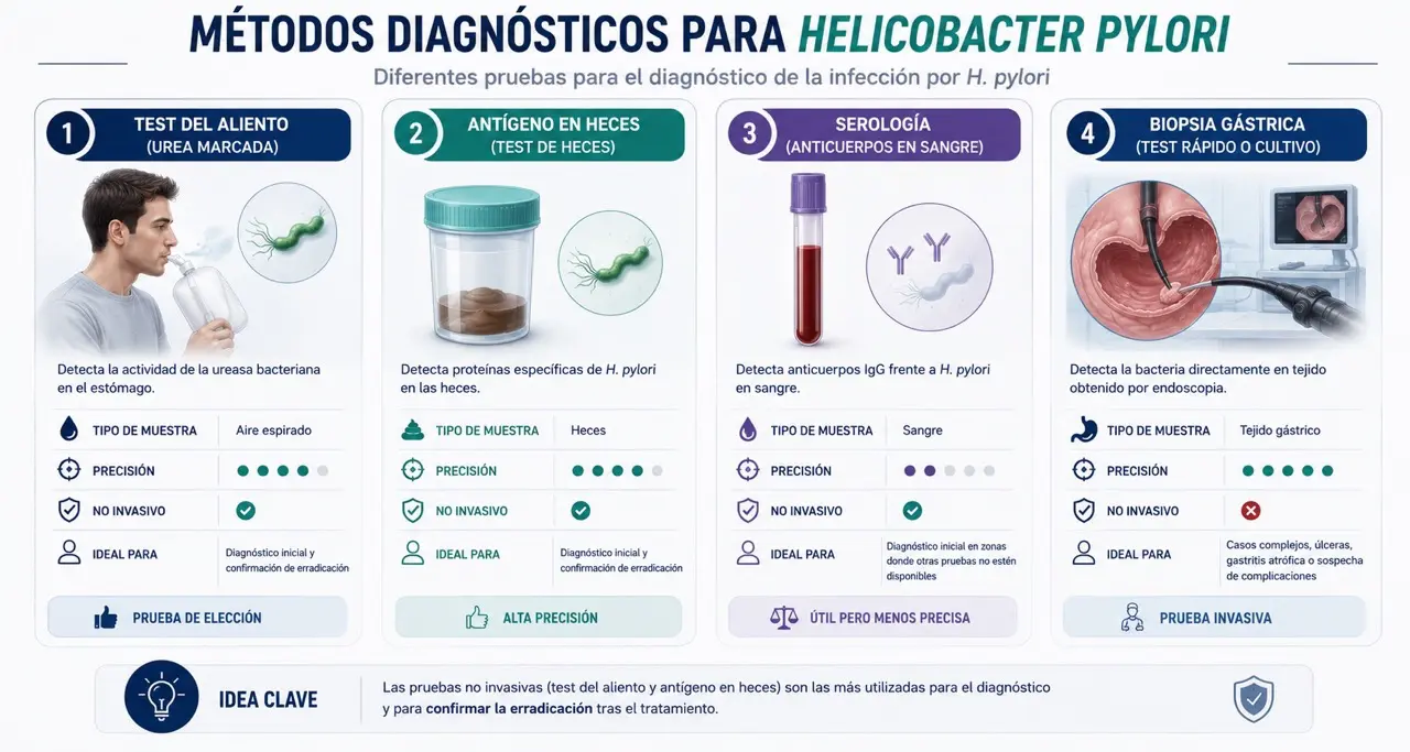 Comparativa medica de pruebas diagnosticas para Helicobacter pylori: test del aliento, antigeno en heces, serologia y biopsia por endoscopia
