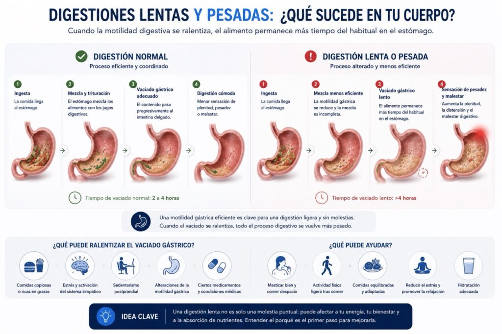 digestiones pesadas y lentas qué significa