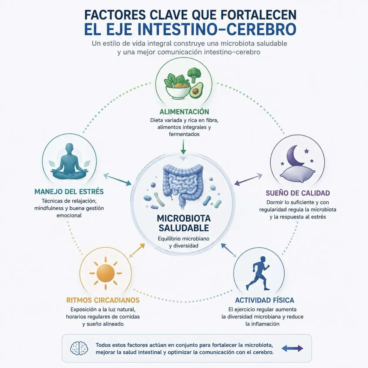 Infografia radial de microbiota saludable conectada con alimentacion, sueño, ejercicio, gestion del estres y ritmos circadianos